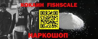 гашик Шелехов