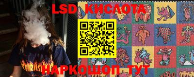 МДПВ Ярославль