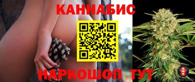 СК Шахты