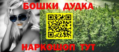 гашик Шелехов