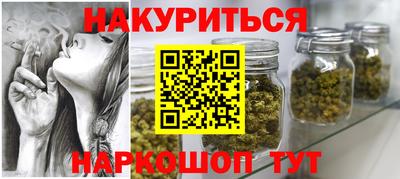 гашик Шелехов