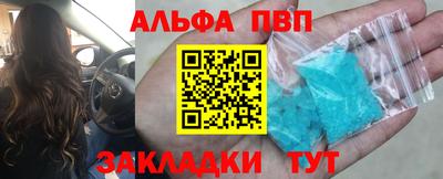 гашик Шелехов
