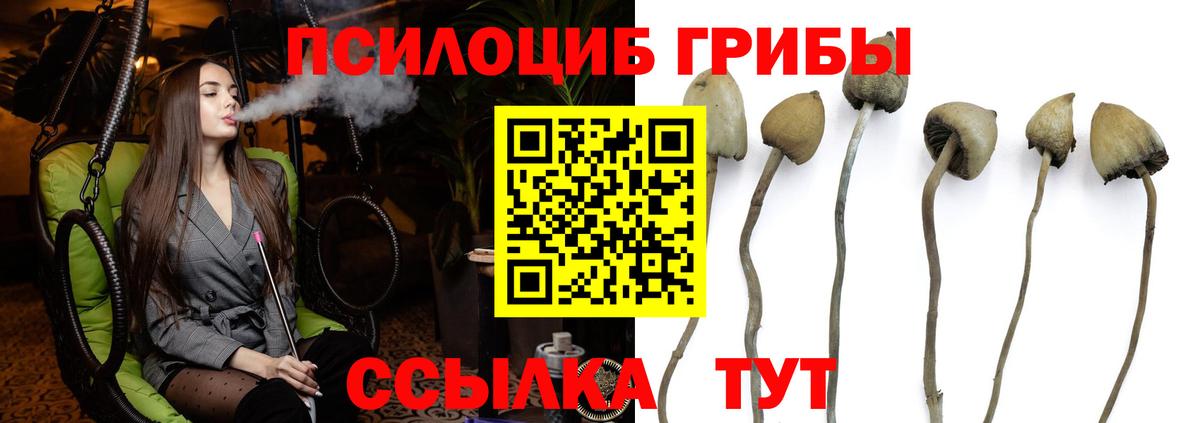 Батайск  Галлюциногенные грибы Psilocybine cubensis  Галлюциногенные грибы Psilocybine cubensis  Вход с VPN 